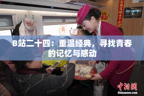 B站二十四：重温经典，寻找青春的记忆与感动
