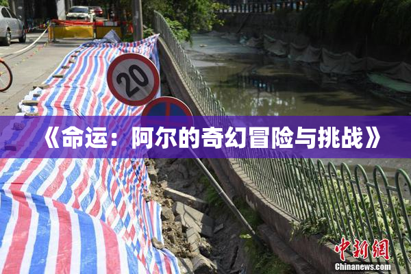 《命运：阿尔的奇幻冒险与挑战》