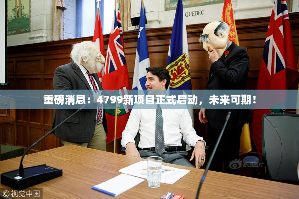 重磅消息：4799新项目正式启动，未来可期！