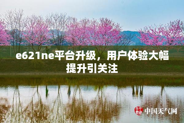 e621ne平台升级，用户体验大幅提升引关注