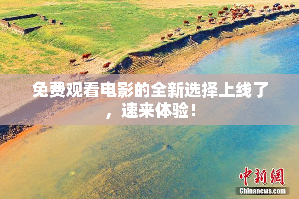 免费观看电影的全新选择上线了，速来体验！