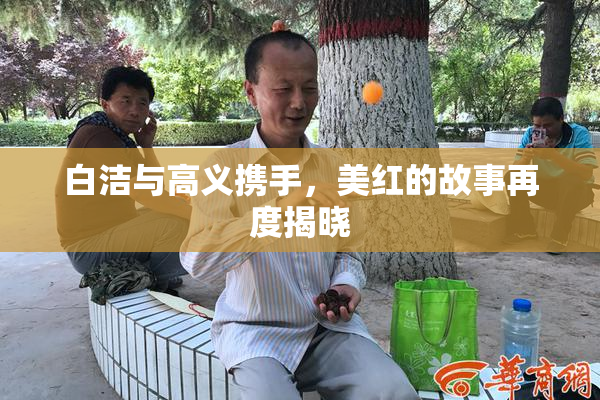 白洁与高义携手，美红的故事再度揭晓