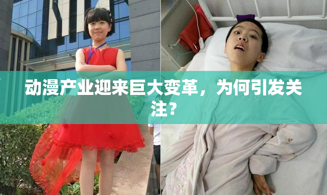 动漫产业迎来巨大变革，为何引发关注？