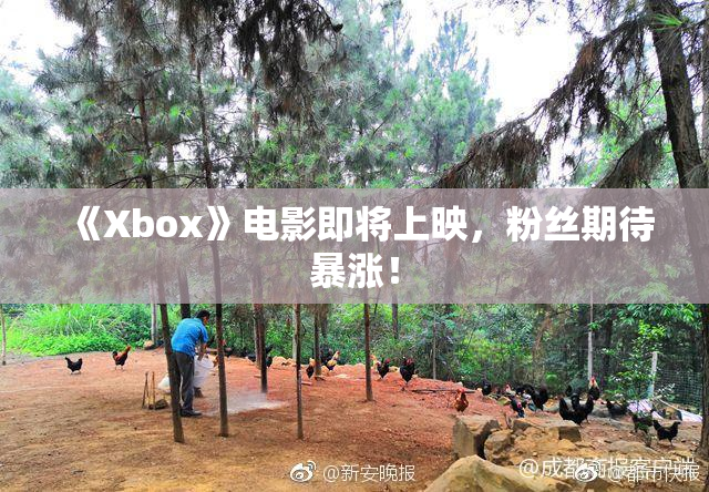 《Xbox》电影即将上映，粉丝期待暴涨！