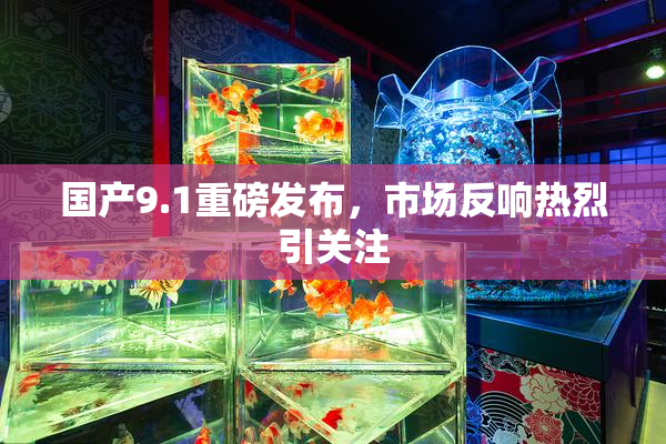 国产9.1重磅发布，市场反响热烈引关注
