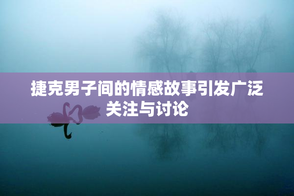 捷克男子间的情感故事引发广泛关注与讨论