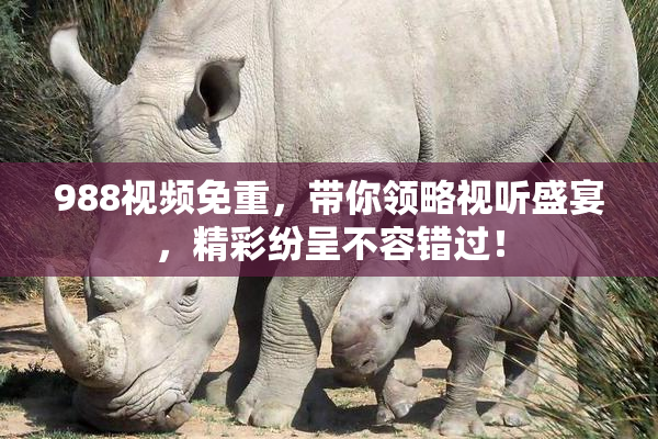 988视频免重，带你领略视听盛宴，精彩纷呈不容错过！