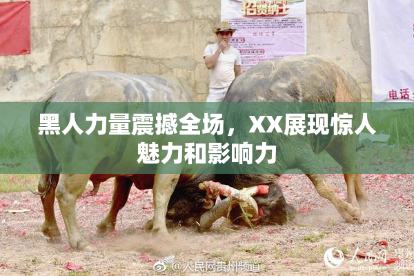 黑人力量震撼全场，XX展现惊人魅力和影响力