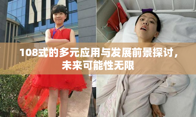 108式的多元应用与发展前景探讨，未来可能性无限