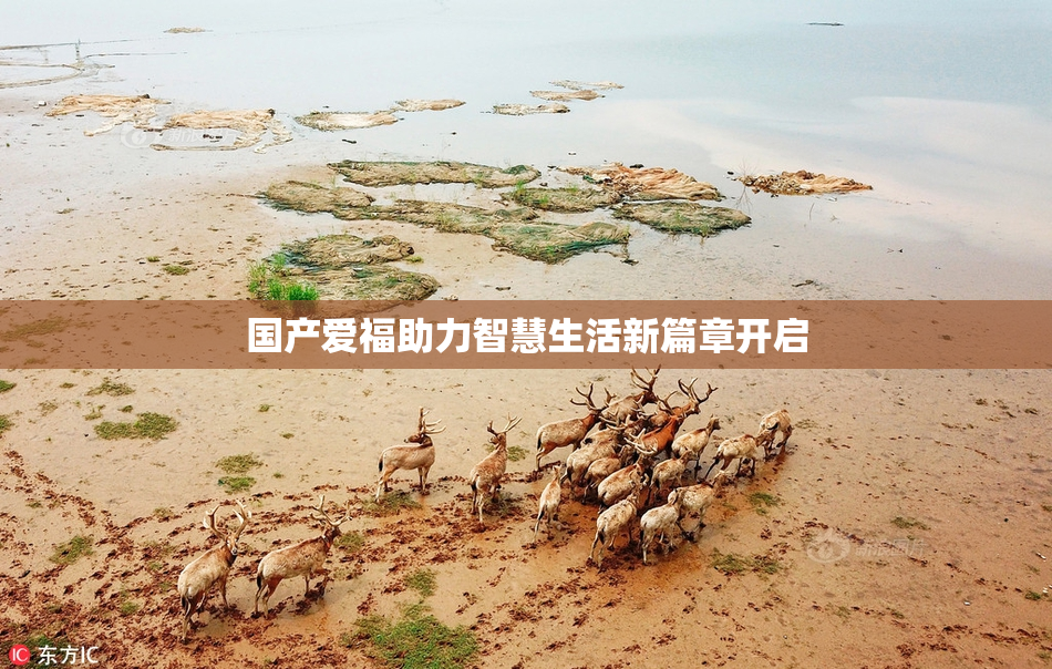 国产爱福助力智慧生活新篇章开启
