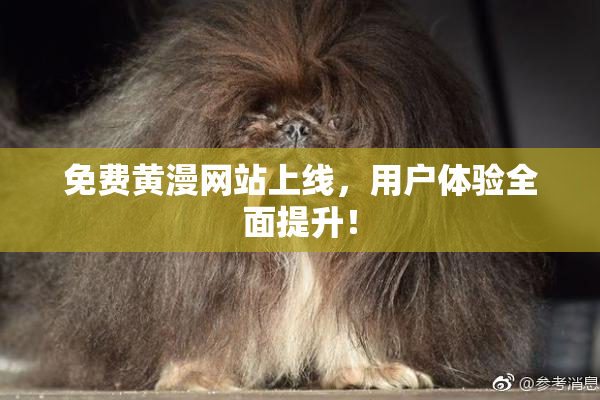 免费黄漫网站上线，用户体验全面提升！