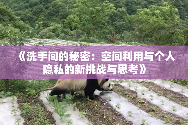 《洗手间的秘密：空间利用与个人隐私的新挑战与思考》