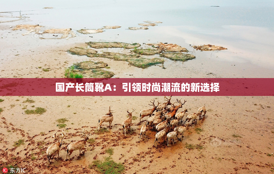 国产长筒靴A：引领时尚潮流的新选择