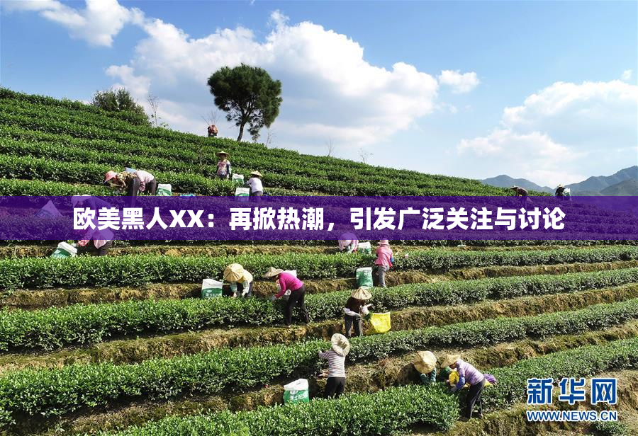 欧美黑人XX：再掀热潮，引发广泛关注与讨论