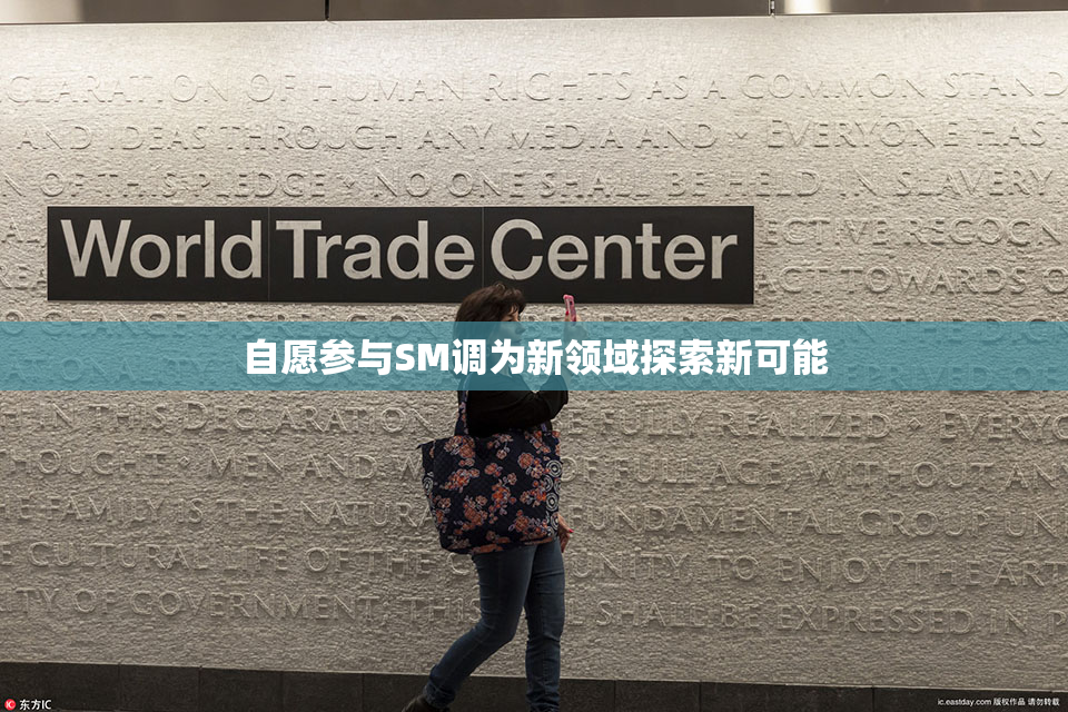 自愿参与SM调为新领域探索新可能