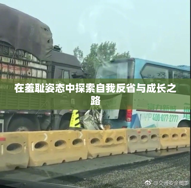 在羞耻姿态中探索自我反省与成长之路
