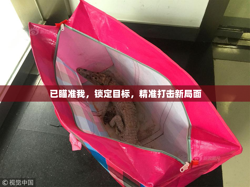 已瞄准我，锁定目标，精准打击新局面