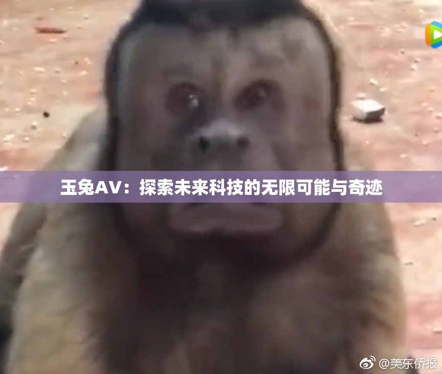 玉兔AV：探索未来科技的无限可能与奇迹