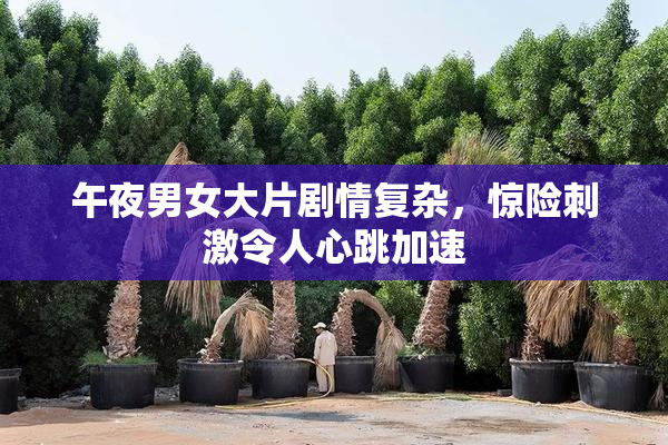 午夜男女大片剧情复杂，惊险刺激令人心跳加速
