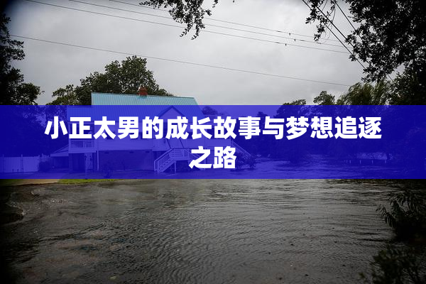 小正太男的成长故事与梦想追逐之路