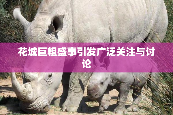 花城巨粗盛事引发广泛关注与讨论