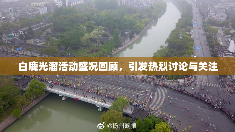 白鹿光溜活动盛况回顾，引发热烈讨论与关注