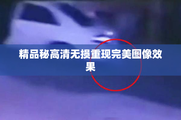 精品秘高清无损重现完美图像效果