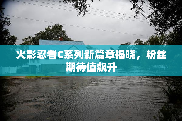 火影忍者C系列新篇章揭晓，粉丝期待值飙升
