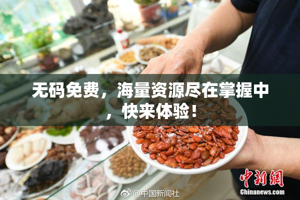 无码免费，海量资源尽在掌握中，快来体验！