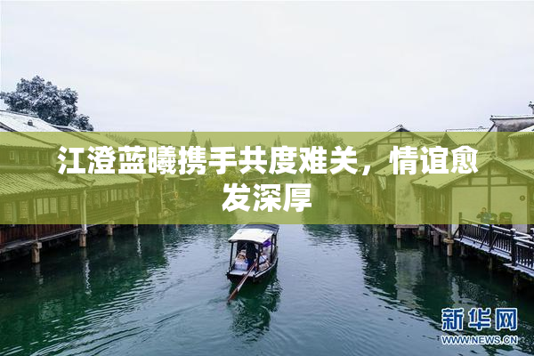 江澄蓝曦携手共度难关，情谊愈发深厚