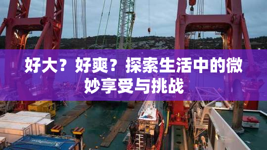 好大？好爽？探索生活中的微妙享受与挑战