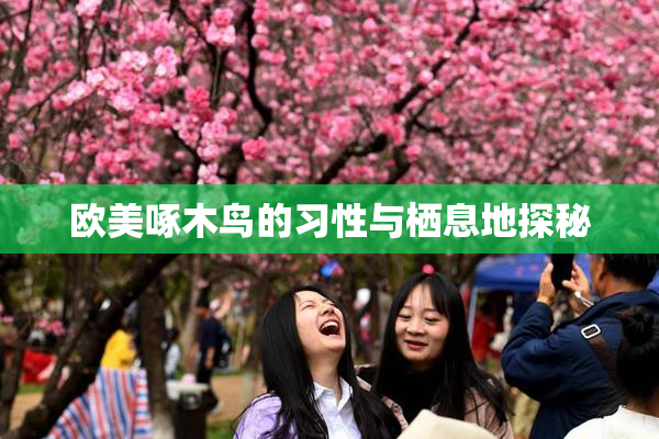 欧美啄木鸟的习性与栖息地探秘