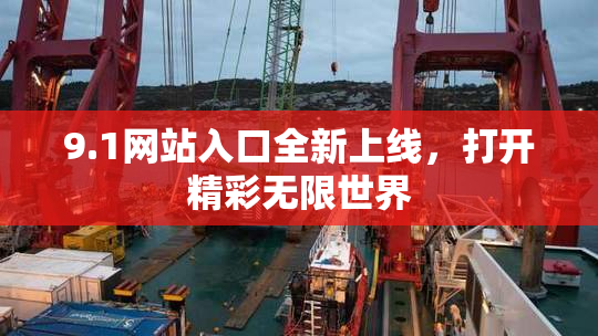 9.1网站入口全新上线，打开精彩无限世界