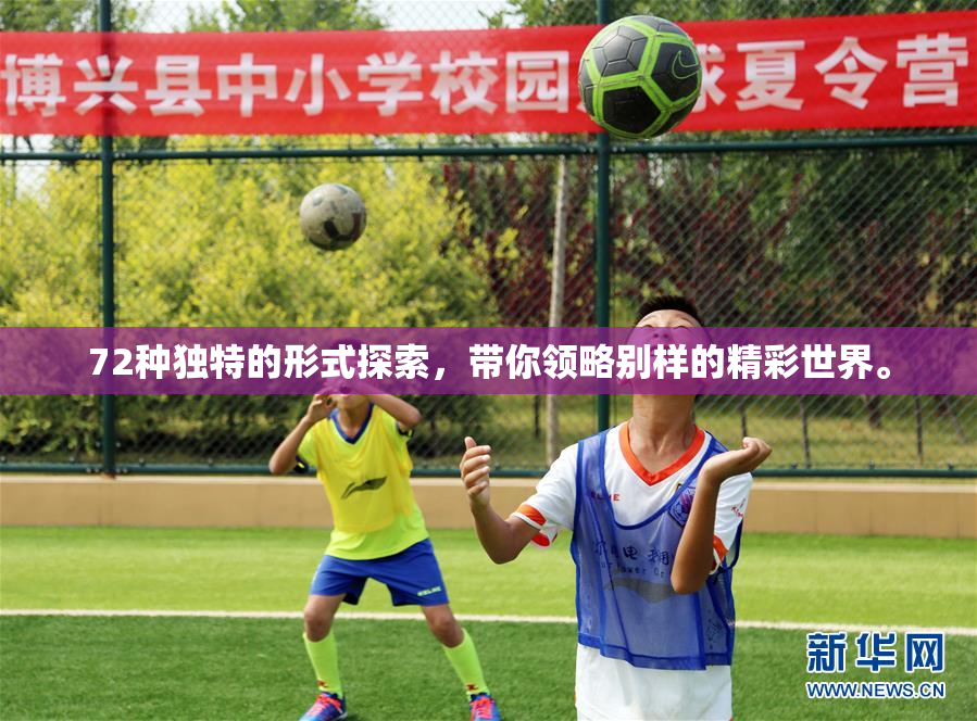 72种独特的形式探索，带你领略别样的精彩世界。