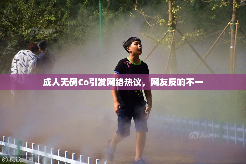 成人无码Co引发网络热议，网友反响不一