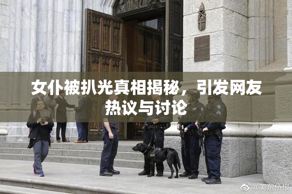 女仆被扒光真相揭秘，引发网友热议与讨论