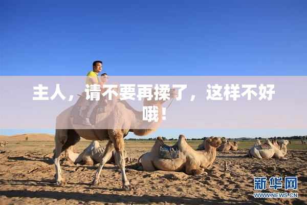 主人，请不要再揉了，这样不好哦！