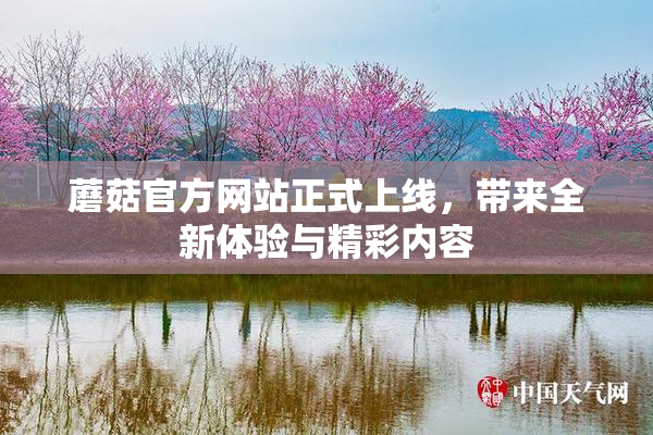 蘑菇官方网站正式上线，带来全新体验与精彩内容