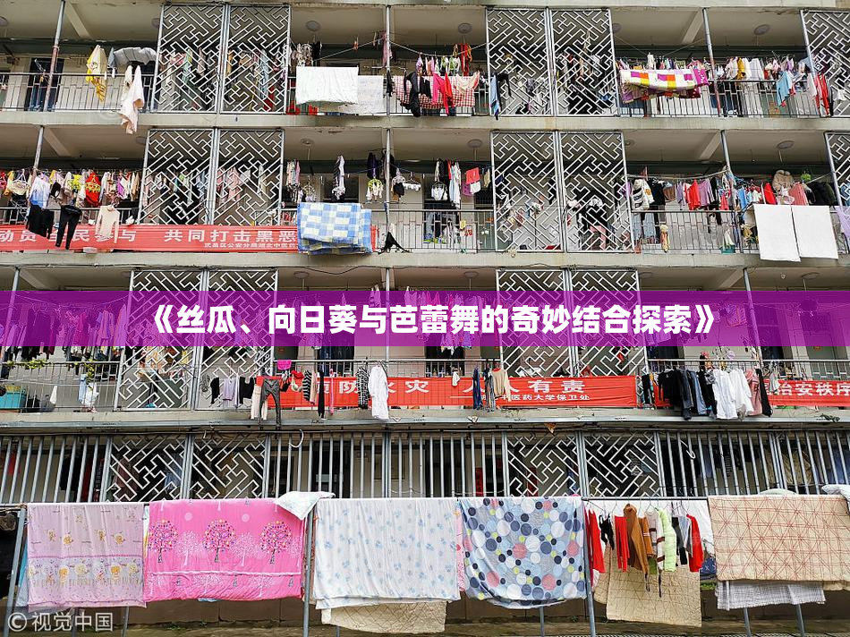 《丝瓜、向日葵与芭蕾舞的奇妙结合探索》