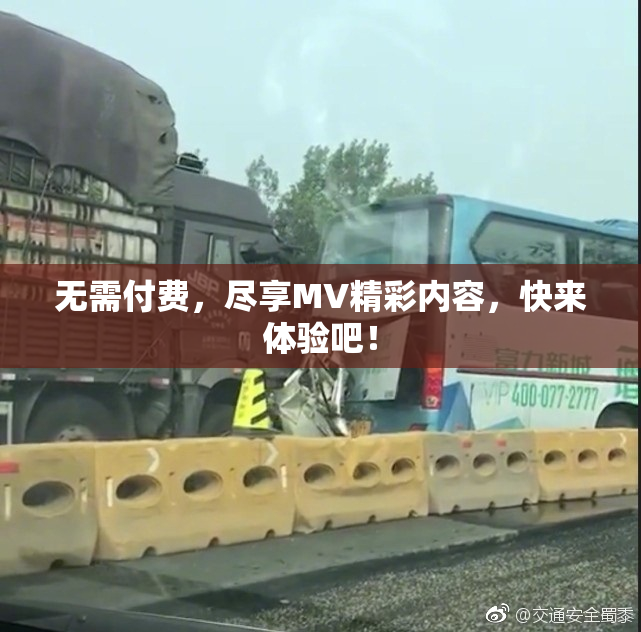 无需付费，尽享MV精彩内容，快来体验吧！