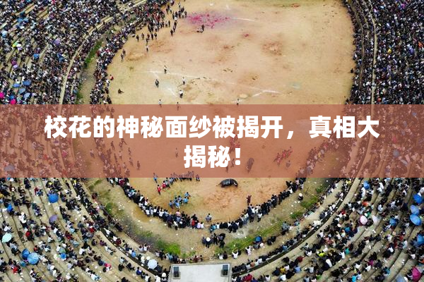 校花的神秘面纱被揭开，真相大揭秘！