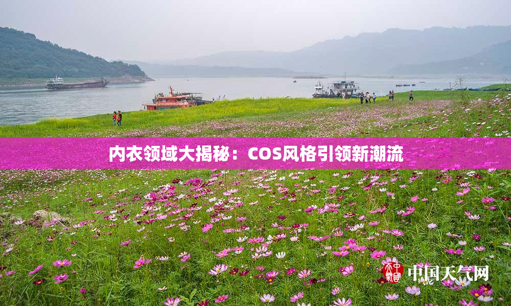内衣领域大揭秘：COS风格引领新潮流