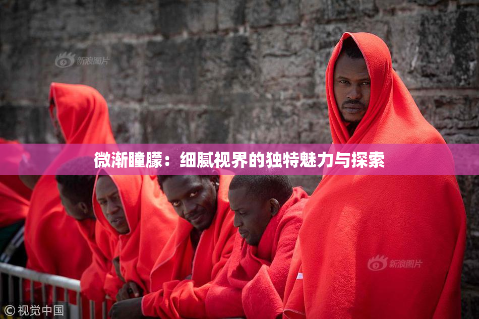 微渐瞳朦：细腻视界的独特魅力与探索