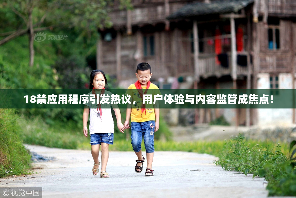 18禁应用程序引发热议，用户体验与内容监管成焦点！