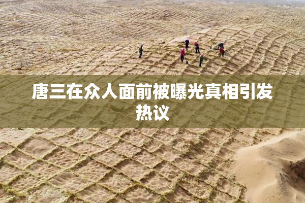 唐三在众人面前被曝光真相引发热议