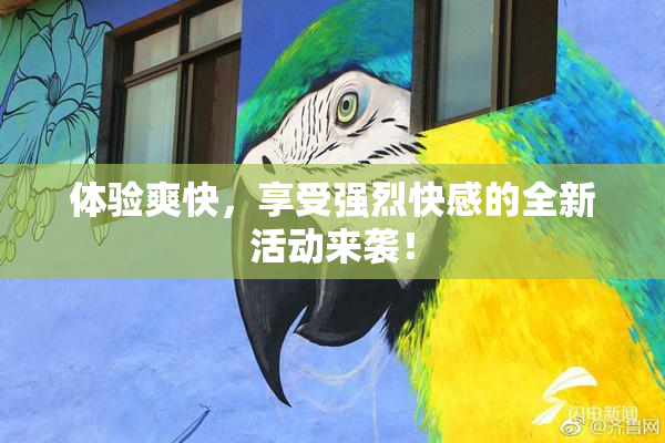 体验爽快，享受强烈快感的全新活动来袭！