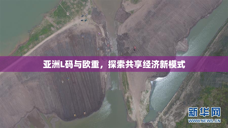 亚洲L码与欧重，探索共享经济新模式
