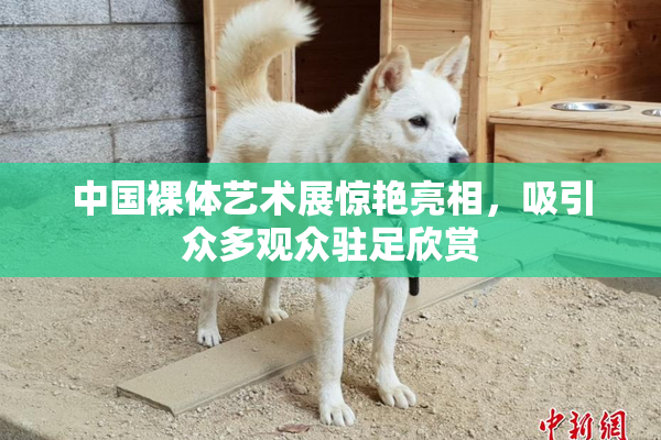 中国裸体艺术展惊艳亮相，吸引众多观众驻足欣赏
