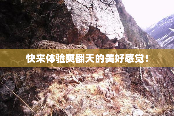 快来体验爽翻天的美好感觉！