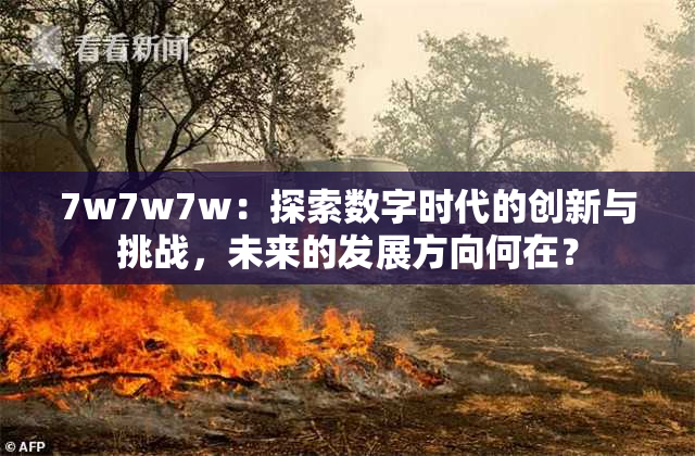 7w7w7w：探索数字时代的创新与挑战，未来的发展方向何在？